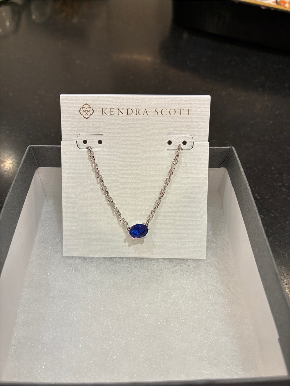 Kendra Scott Cobalt Oval Stone Silver Chain Necklace